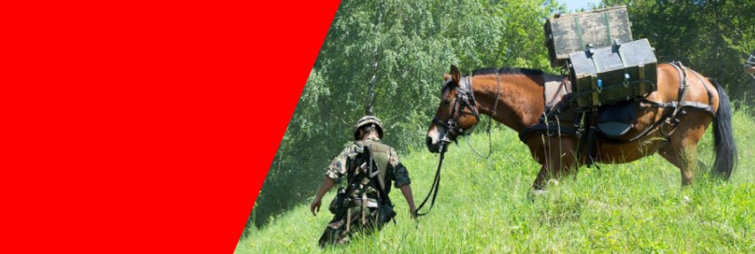 Accessoires pour chevaux de l'armée suisse